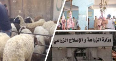 منعا للذبح بالشوارع.. "الزراعة" تعلن استقبال أضاحى العيد بالمجازر مجانا.. و"الخدمات البيطرية" تحذر  من الذبح خارج السلخانات.. 4 وزارات تواجه مافيا غش اللحوم بحملات يومية بالأسواق لضبط المخالفين