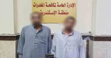 ضبط 115 طربة حشيش بالإسكندرية بقيمة مليون جنيه