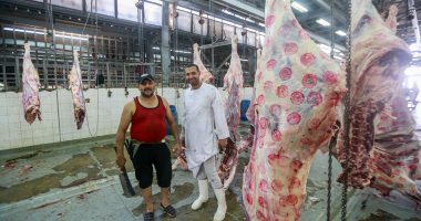 مجزر البساتين يستعد لاستقبال أضاحى المواطنين بالمجان