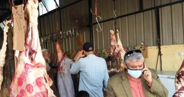 لحوم طازجة بـ85 جنيها للكيلو فى المجمعات الاستهلاكية بمطروح.. صور