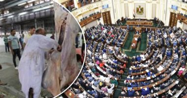 النواب يناشدون المواطنين ذبح الأضاحى بالمجازر.. مطالب لـ"الزراعة" بجاهزية السلخانات بمختلف المحافظات.. والتشديد على التزام الضوابط الصحية ورفع المخلفات أول بأول.. ويؤكدون: كورونا تفرض التزامات أكثر