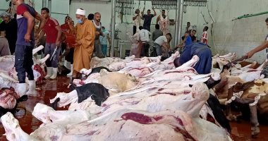 "أوقاف الأقصر" تعلن بيع 156 صك أضحية فى 11 إدارة بالمحافظة