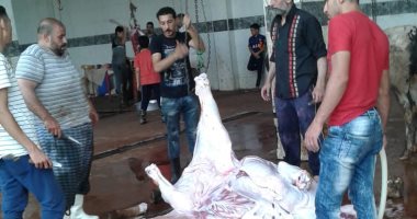مجارز الشرقية تستقبل الأضاحى.. المحافظ يحذر: 5000جنيه عقوبة الذبح بالشوارع