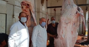 لجان بيطرية من الزراعة على أسواق اللحوم والأسماك.. اعرف التفاصيل