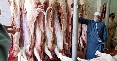 انطلاق عملية الذبح الشرعى لأضاحى الأوقاف بإشراف بيطرى.. صور