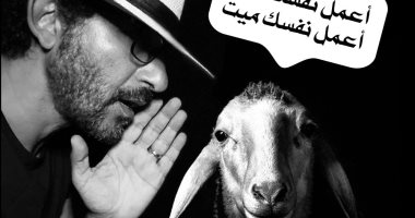 نجوم الفن يحتفلون بعيد الأضحى.. أحمد حلمى بصورة مع الخروف: "اعمل نفسك ميت"