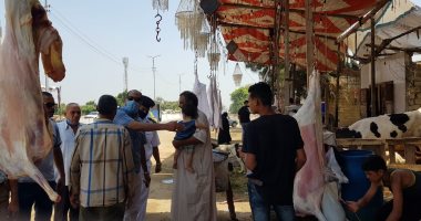 صور.. 50 ألف جنيه غرامة لـ10 جزارين لذبحهم خارج المجاز بمركز بلبيس بالشرقية
