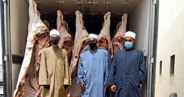 الأوقاف: بدء نقل لحوم الأضاحي إلى مجازر البساتين لبدء مرحلة التشفية.. صور 