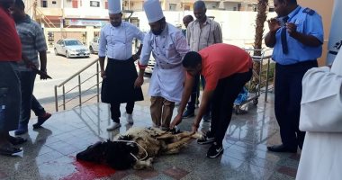 لليوم الثانى.. مستشفى العديسات للعزل الصحى تشهد ذبح خروف العيد بالأقصر