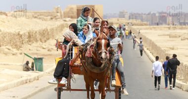 إقبال المصريين على الأهرامات رغم كورونا والطقس الحار 