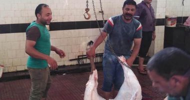 بيطري دمياط: زيادة عدد الأضاحى فى المجازر بنسبة 50% عن العام الماضى