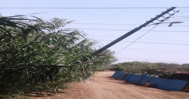اضبط مخالفة.. عامود إنارة يهدد حياة المواطنين بقرية دمليج فى المنوفية