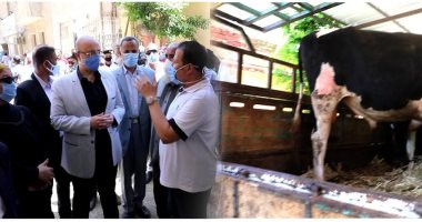 محافظ بني سويف : تسلم 30  أضحية حية لتوزيع لحومها على الأسر الأولى بالرعاية