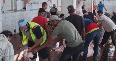 محافظ كفرالشيخ : 19 مجزرا يستقبل 978 رأس ماشية وتوزيع لحوم على 8 آلاف أسرة