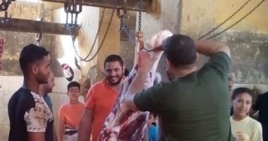 بيطري الشرقـية: ذبح 843 رأس ماشية وأغنام أضاحى بالمجازر خلال أيام العيد