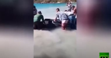 فيديو.. إنقاذ حوت على أحد السواحل البرازيلية