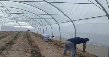 إقامة مكون زراعى متكامل لدعم المجتمعات البدوية بسانت كاترين