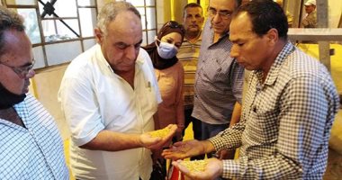 وكيل زراعة الغربية يشدد على الموظفين الإدلاء بأصواتهم فى انتخابات الشيوخ