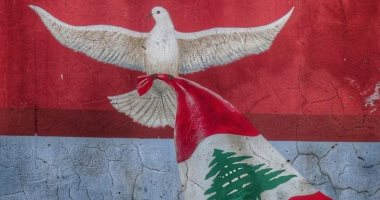 زينة ودرة وبسمة وهبة يؤازرن لبنان وشعبها بعد تفجير بيروت