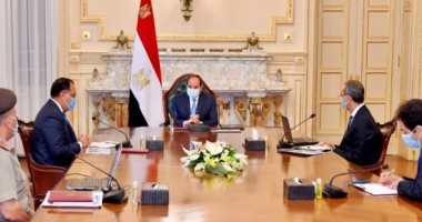 السيسى يوجه باستخدام أحدث التقنيات فى التحول الرقمى لمؤسسات الدولة