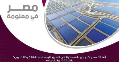 إنفوجراف.. معلومات الوزراء: بركة غليون السمكية توفر 5000 فرصة عمل مباشرة 