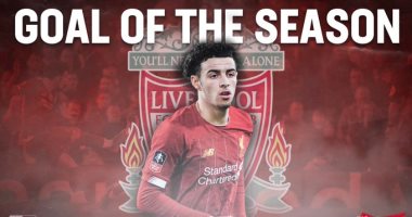 هدف لاعب ليفربول الأفضل في كأس الاتحاد الإنجليزي.. فيديو