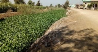 أهالى قرية الزهيرى فى محافظة الدقهلية يطالبون رصف الطريق
