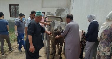 محافظ كفر الشيخ: برنامج تدريبى لتأهيل خريجى الطب البيطرى وتحصين 48675 طائرًا