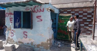 صور .. حملة مكبرة لهدم الأكشاك المخالفة غرب الإسكندرية