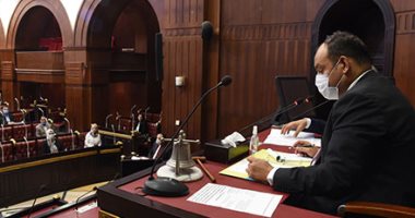"اقتصادية البرلمان" تشكر التموين: لم نرصد أى نقص للسلع الأساسية خلال الجائحة.. صور
