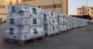 قبل العيد.. مصر الخير تعيد الأمل والبهجة لـ2000 أسرة بفك كرب الغارمين