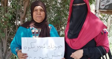 10ندوات تحث سيدات الشرقية على المشاركة في انتخابات الشيوخ.. صور