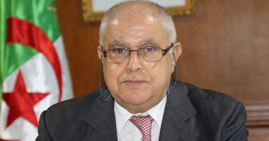 الجزائر تدعو لتوحيد الجهود لمواجهة تحديات الطاقة فى إفريقيا