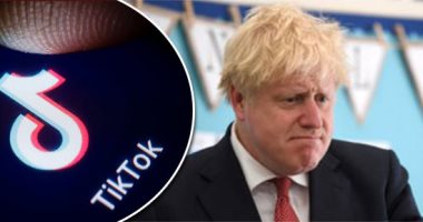 تيك توك فى مرمى نيران الاستخبارات الغربية.. مدير "MI6" السابق يحذر المسئولين فى الحكومة البريطانية: هواتف أبنائكم "ثغرة" تهدد أسرار الدولة.. ومتحدث باسم التطبيق الصينى: البيانات غير مخزنة فى الصين