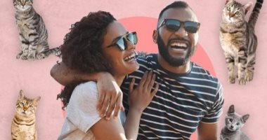 حب من أول قطة.. تطبيق مواعدة مخصص لمحبى تربية القطط 