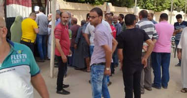 صور.. إقبال على اللجان الانتخابية بالدقهلية فى القرى والمراكز والمدن