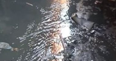 سيبها علينا.. شكوى من غرق شارع عزت مبروك بالجيزة بمياه الصرف الصحى