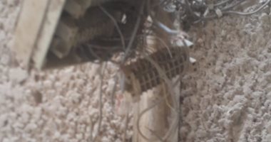 سيبها علينا.. قارئ يشكو من تلف كابل التليفونات وانقطاع الإنترنت بأرض اللواء
