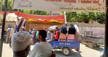 صور.. التروسيكل وسيلة لنقل الناخبين بقرى محافظة بنى سويف