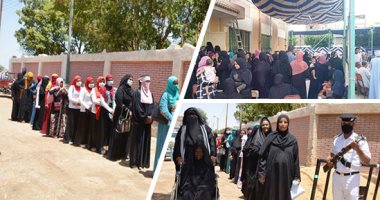 هيئة الاستعلامات: لم نرصد أى ادعاءات من الإعلام الأجنبى بشأن نزاهة العملية الانتخابية 