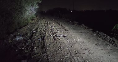 أهالي قرية أم سعدون بالشرقية يطالبون بأعمدة إنارة للطريق