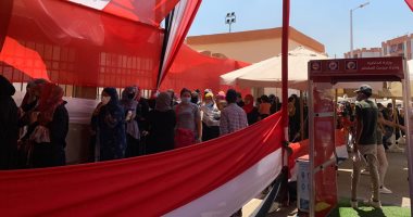 نواب يطالبون المصريين بالنزول بكثافة أمام لجان "الشيوخ" قبل انتهاء التصويت