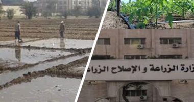 ترشيدا للاستهلاك.."الزراعة": تحديث منظومة الرى بـ504 ألف فدان بالأراضى الجديدة فى 8 محافظات.. وقروض بفائدة 5% لتمويل شبكات الرى.. والاستعانة بتسوية التربة بالليزر وزراعة المصاطب والأصناف المبكرة لتوفير المياه