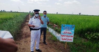 إسترداد 136 فدان و9 قيراط تعدى على أراضى أملاك الدولة بمركز ومدينة الحسينية 