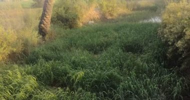 أهالى نجع عامر بقنا يطالبون بتطهير ترعة الرشوانية وتزويدها بالمياه