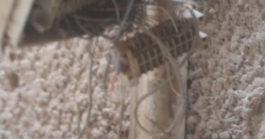 قارئ يطالب بإصلاح كابل خط التليفونات الأرضية بشارع مسجد الرحمن بأرض اللواء