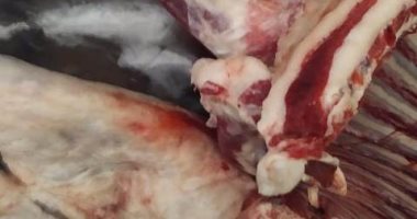 ضبط لحوم وخبز غير مطابق للمواصفات التموينية فى حملات تفتيشية بالشرقية