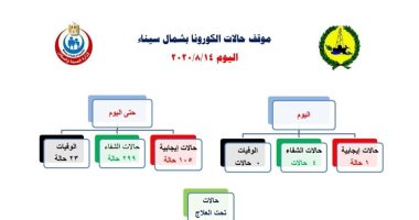 صحة شمال سيناء : شفاء 4 حالات من كورونا وتسجيل إصابة واحدة خلال 24 ساعة