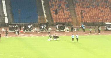صور.. بدلاء الزمالك يؤدون الصلاة في الملعب بين شوطي المقاصة