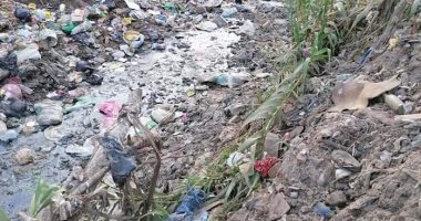 تحجير وتبطين جسر الترعة.. مناشدة أهالى عشما بمحافظة المنوفية